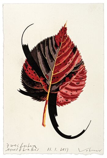 Zwei Seiten eines Blattes